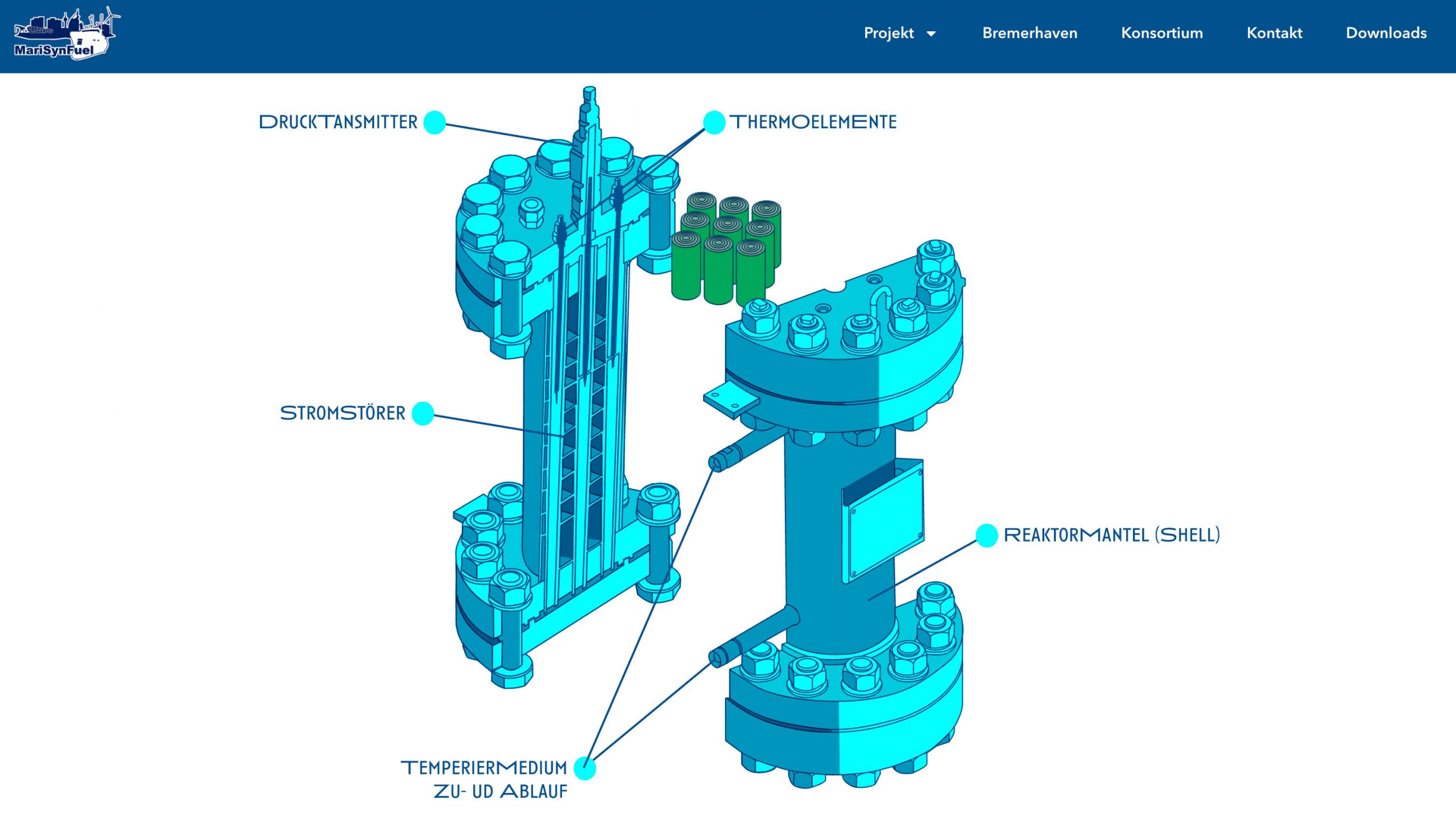 Marisynfuel_webseite_Agentur_Vaterblut_Design_Stromstörer